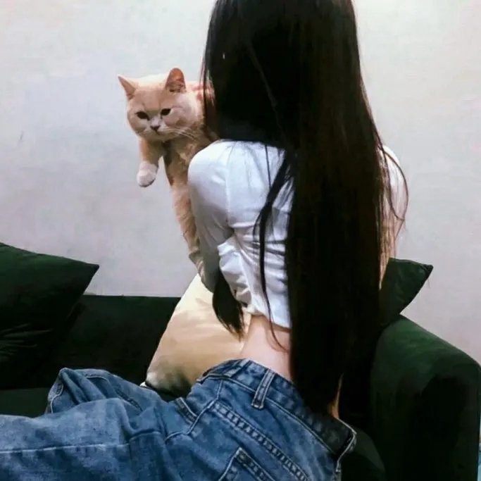 动漫综艺